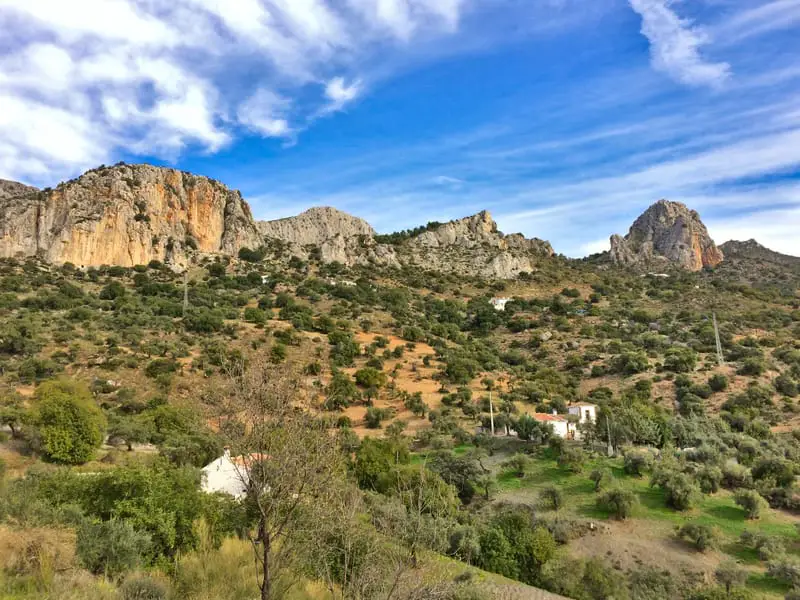 arid landscape with olive trees overlooking rocks of el chorro
