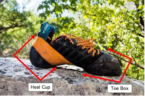 diagram of the heel cup and toe box of climbing shoe