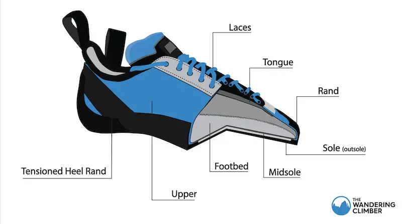 diagram of the Anatomy of a climbing shoe cross section