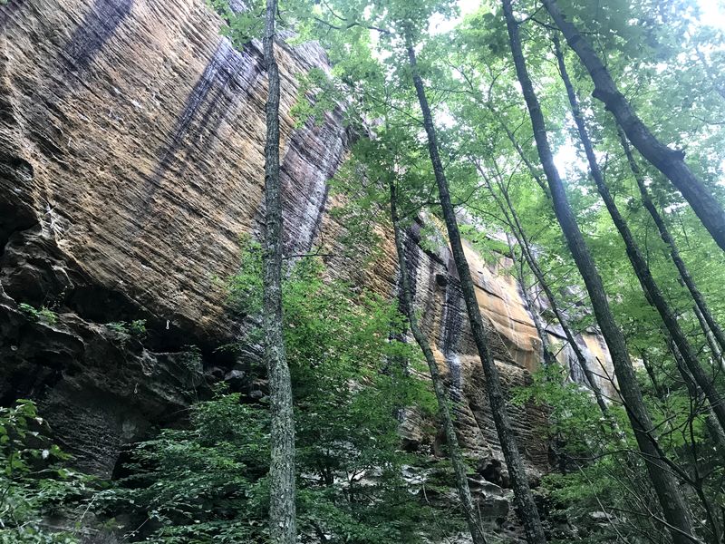 View to the rocks 