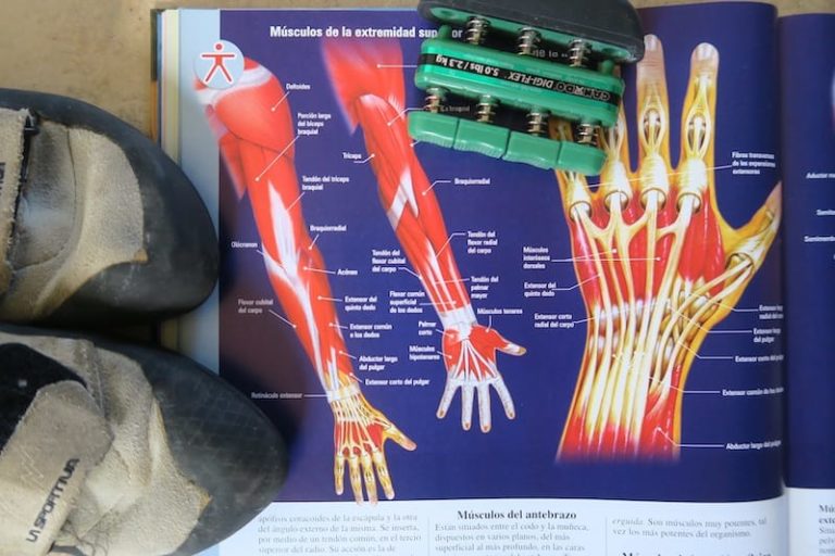 Muscles Used In Rock Climbing What Groups Does it Work?