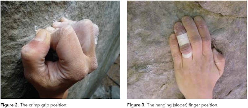 rock climbers hands